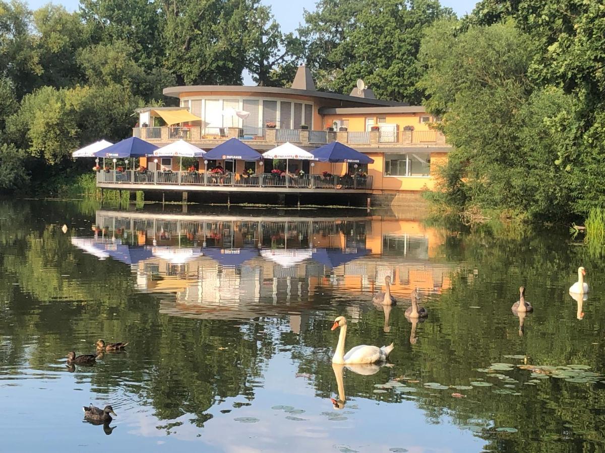 Pension Am See Torgau Exterior photo